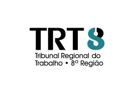 Concurso TRT 8 Técnico Analista