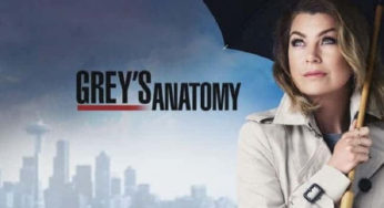 Grey’s Anatomy 14° Temporada