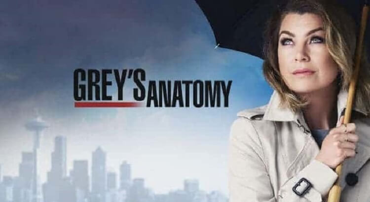 Grey's Anatomy 14° Temporada