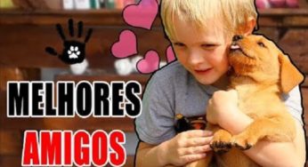 MELHORES RAÇAS de cães para crianças